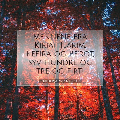 Picture 07 - Nehemja 7:29 NORSK - mennene fra Kirjat-Jearim, Kefira og Be'rot, syv - Bible Verse Picture