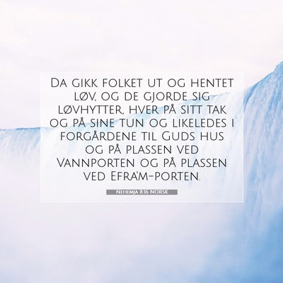 Picture 07 - Nehemja 8:16 NORSK - Da gikk folket ut og hentet løv, og de gjorde - Bible Verse Picture