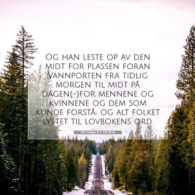 Picture 07 - Nehemja 8:3 NORSK - Og han leste op av den midt for plassen foran - Bible Verse Picture