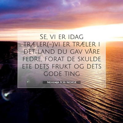 Picture 07 - Nehemja 9:36 NORSK - Se, vi er idag træler(-)vi er træler i det land - Bible Verse Picture