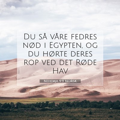 Picture 07 - Nehemja 9:9 NORSK - Du så våre fedres nød i Egypten, og du hørte - Bible Verse Picture