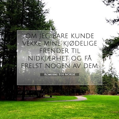 Picture 07 - Romerne 11:14 NORSK - om jeg bare kunde vekke mine kjødelige frender - Bible Verse Picture
