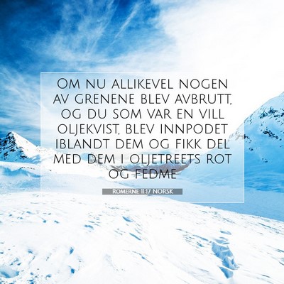 Picture 07 - Romerne 11:17 NORSK - Om nu allikevel nogen av grenene blev avbrutt, og - Bible Verse Picture
