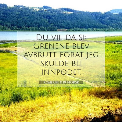 Picture 07 - Romerne 11:19 NORSK - Du vil da si: Grenene blev avbrutt forat jeg - Bible Verse Picture