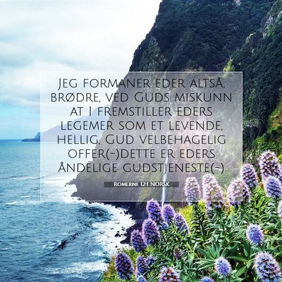 Picture 07 - Romerne 12:1 NORSK - Jeg formaner eder altså, brødre, ved Guds - Bible Verse Picture