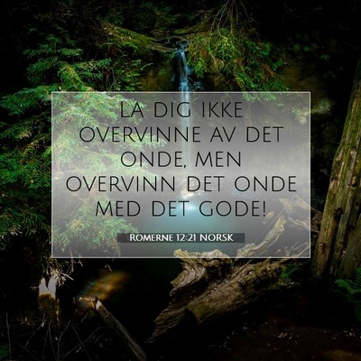 Picture 07 - Romerne 12:21 NORSK - La dig ikke overvinne av det onde, men overvinn - Bible Verse Picture