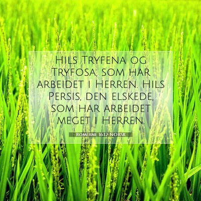 Picture 07 - Romerne 16:12 NORSK - Hils Tryfena og Tryfosa, som har arbeidet i - Bible Verse Picture