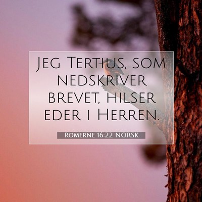 Picture 07 - Romerne 16:22 NORSK - Jeg Tertius, som nedskriver brevet, hilser eder i - Bible Verse Picture