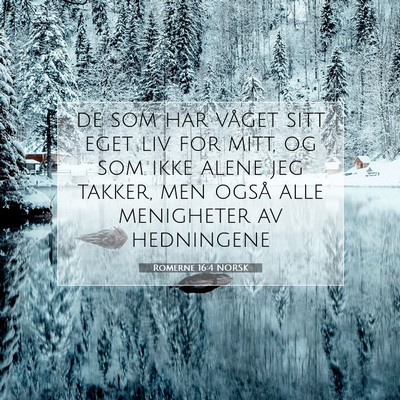 Picture 07 - Romerne 16:4 NORSK - de som har våget sitt eget liv for mitt, og som - Bible Verse Picture