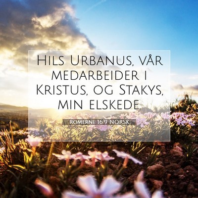 Picture 07 - Romerne 16:9 NORSK - Hils Urbanus, vår medarbeider i Kristus, og - Bible Verse Picture