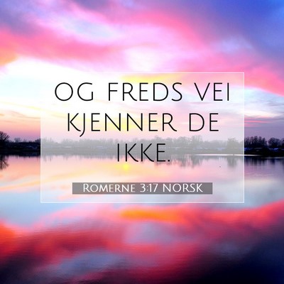 Picture 07 - Romerne 3:17 NORSK - og freds vei kjenner de - Bible Verse Picture