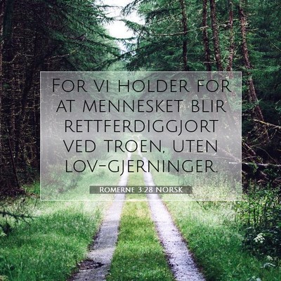 Picture 07 - Romerne 3:28 NORSK - For vi holder for at mennesket blir - Bible Verse Picture