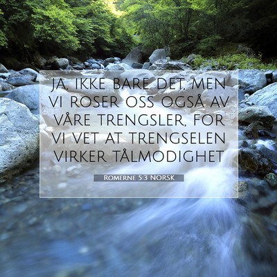 Picture 07 - Romerne 5:3 NORSK - ja, ikke bare det, men vi roser oss også av - Bible Verse Picture