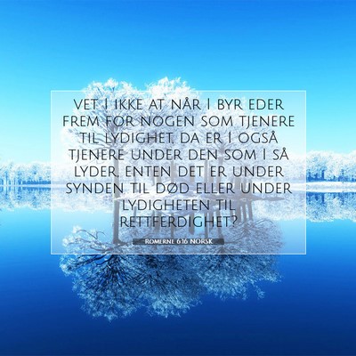 Picture 07 - Romerne 6:16 NORSK - vet I ikke at når I byr eder frem for nogen som - Bible Verse Picture