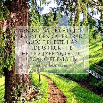 Picture 07 - Romerne 6:22 NORSK - Men nu, da I er frigjort fra synden og er trådt - Bible Verse Picture