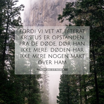 Picture 07 - Romerne 6:9 NORSK - fordi vi vet at efterat Kristus er opstanden fra - Bible Verse Picture