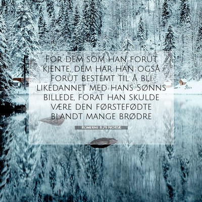 Picture 07 - Romerne 8:29 NORSK - For dem som han forut kjente, dem har han også - Bible Verse Picture