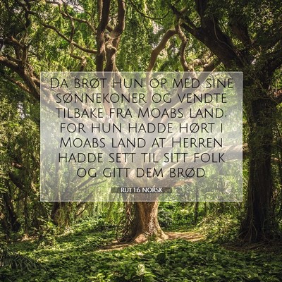 Picture 07 - Rut 1:6 NORSK - Da brøt hun op med sine sønnekoner og vendte - Bible Verse Picture