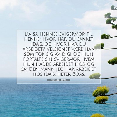 Picture 07 - Rut 2:19 NORSK - Da sa hennes svigermor til henne: Hvor har du - Bible Verse Picture