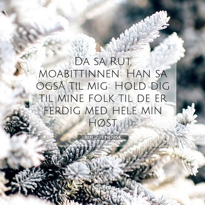 Picture 07 - Rut 2:21 NORSK - Da sa Rut, moabittinnen: Han sa også til mig: - Bible Verse Picture