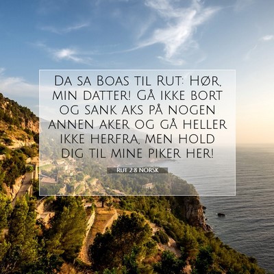 Picture 07 - Rut 2:8 NORSK - Da sa Boas til Rut: Hør, min datter! Gå ikke - Bible Verse Picture
