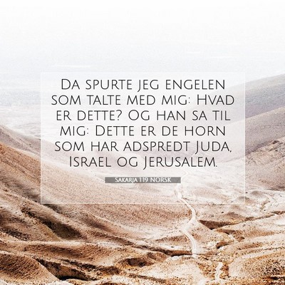 Picture 07 - Sakarja 1:19 NORSK - Da spurte jeg engelen som talte med mig: Hvad er - Bible Verse Picture