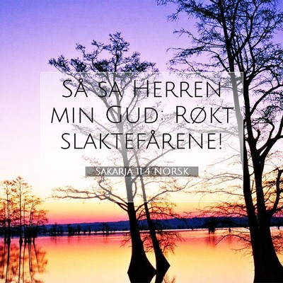Picture 07 - Sakarja 11:4 NORSK - Så sa Herren min Gud: Røkt - Bible Verse Picture