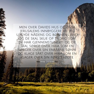 Picture 07 - Sakarja 12:10 NORSK - Men over Davids hus og over Jerusalems innbyggere - Bible Verse Picture