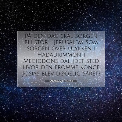 Picture 07 - Sakarja 12:11 NORSK - På den dag skal sorgen bli stor i Jerusalem, som - Bible Verse Picture