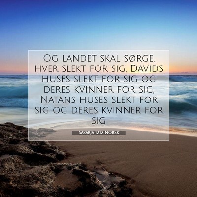 Picture 07 - Sakarja 12:12 NORSK - Og landet skal sørge, hver slekt for sig, Davids - Bible Verse Picture