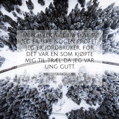 Picture 07 - Sakarja 13:5 NORSK - Men hver av dem skal si: Jeg er ikke nogen - Bible Verse Picture