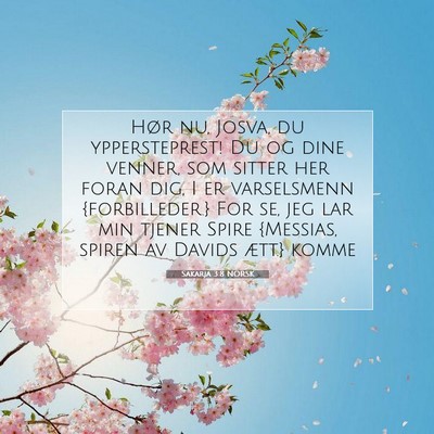 Picture 07 - Sakarja 3:8 NORSK - Hør nu, Josva, du yppersteprest! Du og dine - Bible Verse Picture