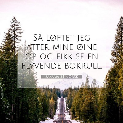Picture 07 - Sakarja 5:1 NORSK - Så løftet jeg atter mine øine op og fikk se en - Bible Verse Picture