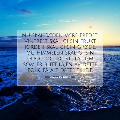 Picture 07 - Sakarja 8:12 NORSK - nu skal sæden være fredet: Vintreet skal gi sin - Bible Verse Picture