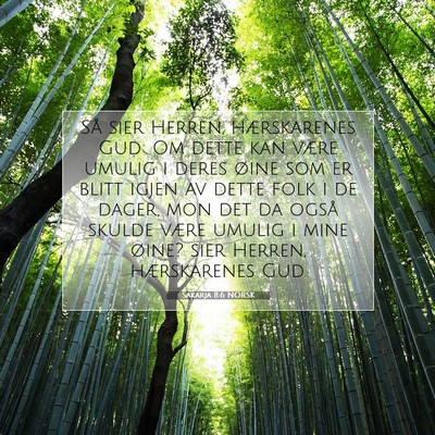 Picture 07 - Sakarja 8:6 NORSK - Så sier Herren, hærskarenes Gud: Om dette kan - Bible Verse Picture