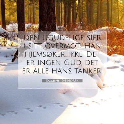 Picture 07 - Salmene 10:4 NORSK - Den ugudelige sier i sitt overmot: Han hjemsøker - Bible Verse Picture