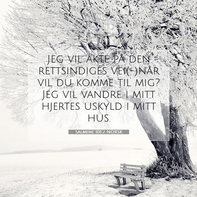 Picture 07 - Salmene 101:2 NORSK - Jeg vil akte på den rettsindiges vei(-)når vil - Bible Verse Picture