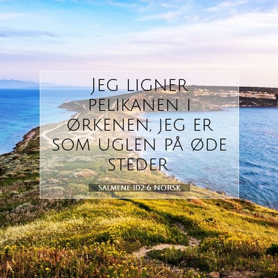 Picture 07 - Salmene 102:6 NORSK - Jeg ligner pelikanen i ørkenen, jeg er som uglen - Bible Verse Picture