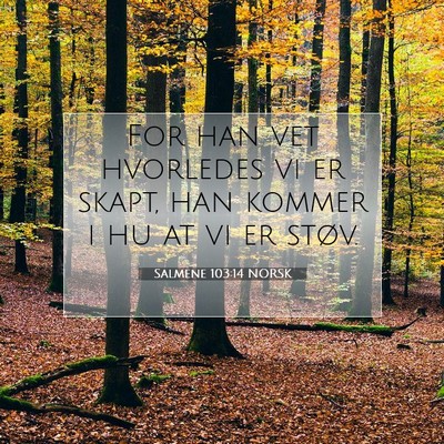 Picture 07 - Salmene 103:14 NORSK - For han vet hvorledes vi er skapt, han kommer i - Bible Verse Picture