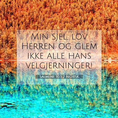 Picture 07 - Salmene 103:2 NORSK - Min sjel, lov Herren og glem ikke alle hans - Bible Verse Picture