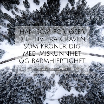 Picture 07 - Salmene 103:4 NORSK - han som forløser ditt liv fra graven, som kroner - Bible Verse Picture
