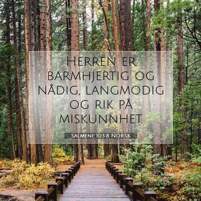 Picture 07 - Salmene 103:8 NORSK - Herren er barmhjertig og nådig, langmodig og rik - Bible Verse Picture