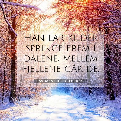 Picture 07 - Salmene 104:10 NORSK - Han lar kilder springe frem i dalene; mellem - Bible Verse Picture