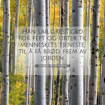 Picture 07 - Salmene 104:14 NORSK - Han lar gress gro for feet og urter til - Bible Verse Picture
