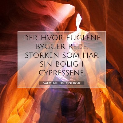 Picture 07 - Salmene 104:17 NORSK - der hvor fuglene bygger rede, storken som har sin - Bible Verse Picture