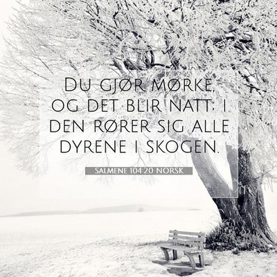 Picture 07 - Salmene 104:20 NORSK - Du gjør mørke, og det blir natt; i den rører - Bible Verse Picture