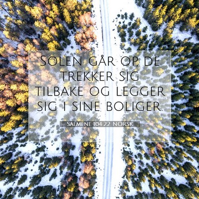 Picture 07 - Salmene 104:22 NORSK - Solen går op, de trekker sig tilbake og legger - Bible Verse Picture