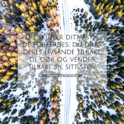 Picture 07 - Salmene 104:29 NORSK - Du skjuler ditt åsyn, de forferdes; du drar - Bible Verse Picture