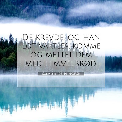 Picture 07 - Salmene 105:40 NORSK - De krevde, og han lot vaktler komme og mettet dem - Bible Verse Picture
