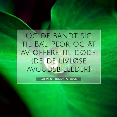 Picture 07 - Salmene 106:28 NORSK - Og de bandt sig til Ba'l-Peor og åt av offere - Bible Verse Picture